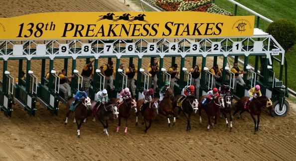 Find all about wagering on the Preakness Stakes online!