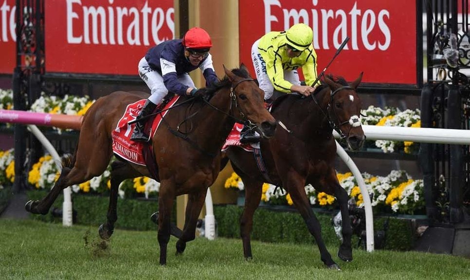 Which are the special moments in the melbourne cup history?