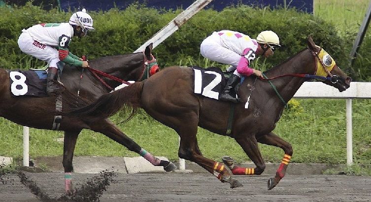 Is there triple crown horse racing in Hong Kong?