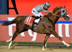 How can you wager on the Dubai World Cup race?